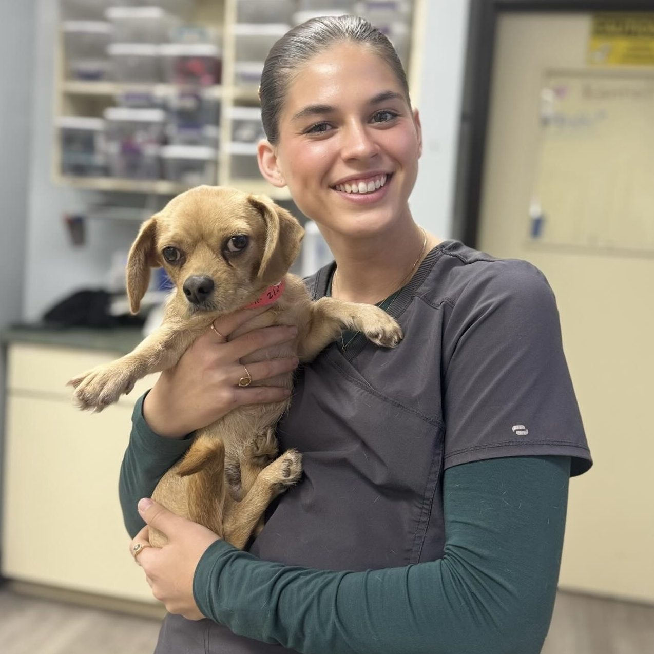 9B9209BB-7512-401C-AF22-865457868B83_1_201_a